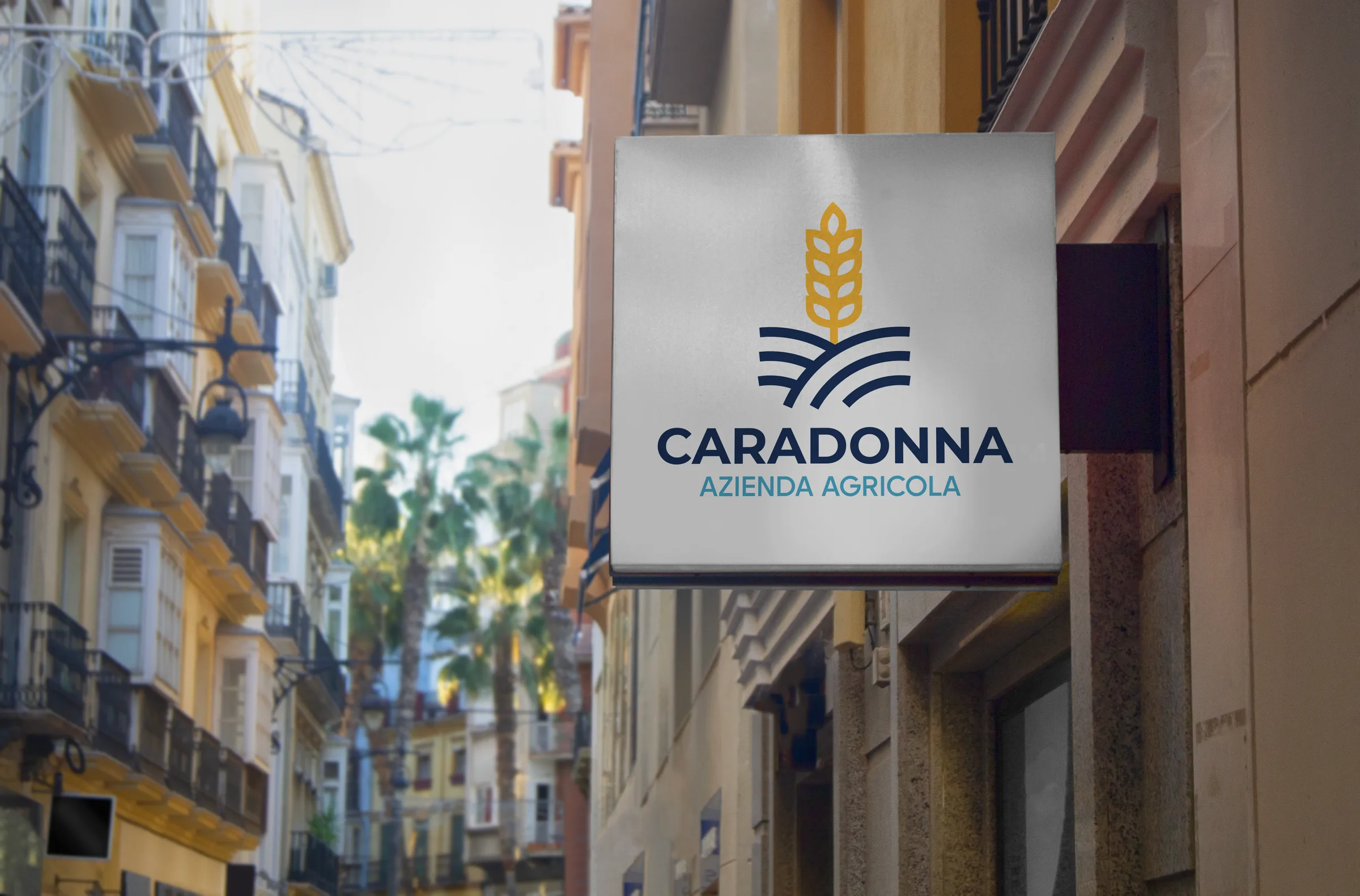 Azienda Agricola Caradonna